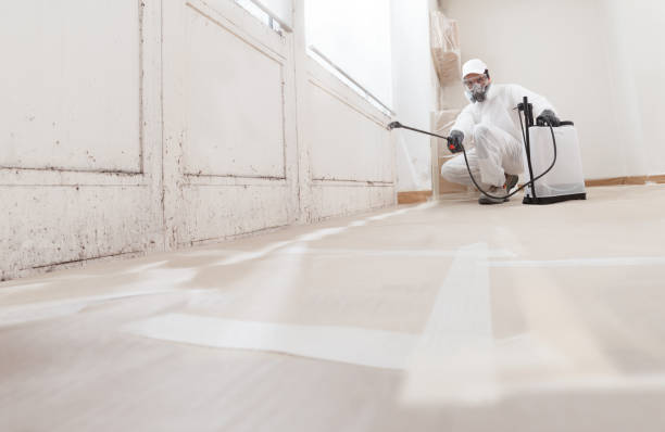 24/7 Emergency Attic Mold Remediation experts in Bellefonte, PA