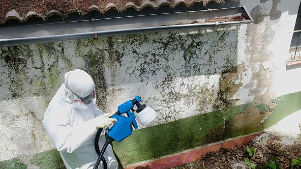 Top rated local Attic Mold Remediation specialists in Bellefonte, PA